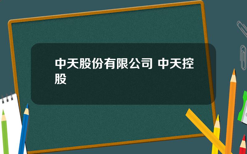 中天股份有限公司 中天控股